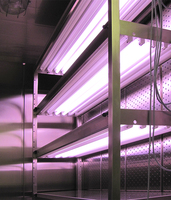 Photo: Walk-in Plant growth chamber